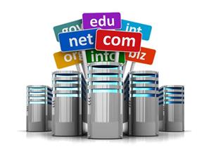 Web Hosting Web Hosting